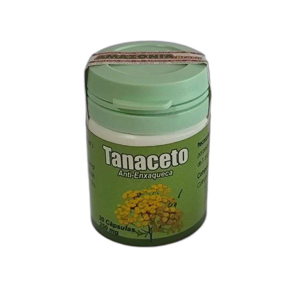 Tanaceto (Tanacetum parthenium) Frasco com 30 cápsulas